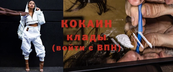 тгк Пересвет