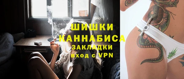 тгк Пересвет