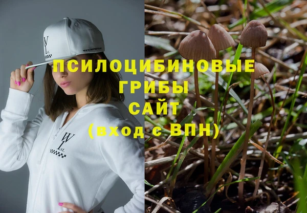 тгк Пересвет