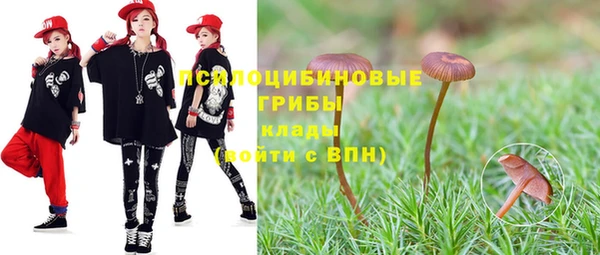 прущая мука Переславль-Залесский