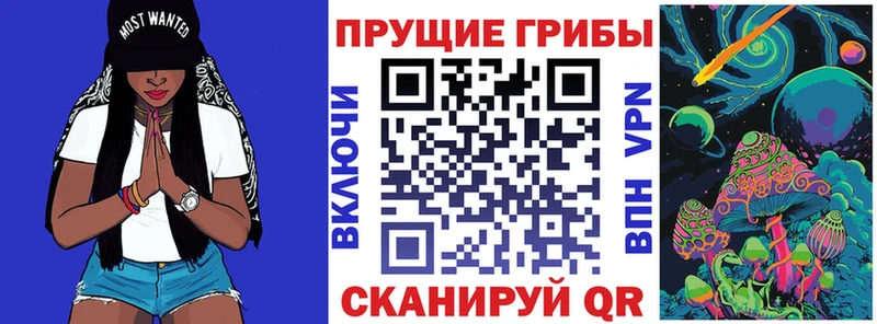 Купить где  Ардатов  Галлюциногенные грибы Psilocybine cubensis 